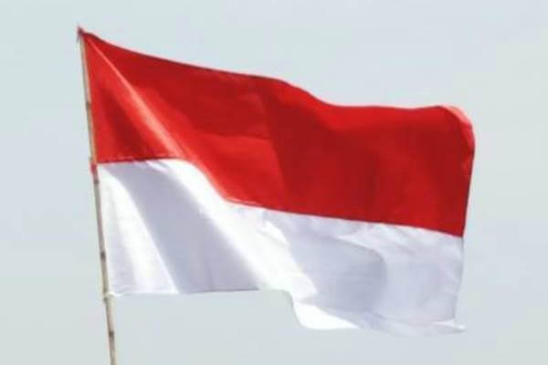 origen e historia de la República de Indonesia
