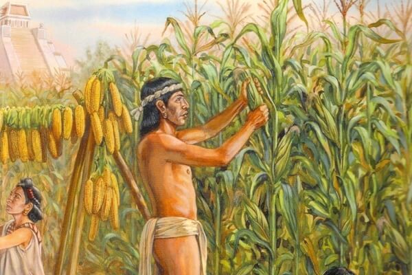 Historia de la agricultura en México