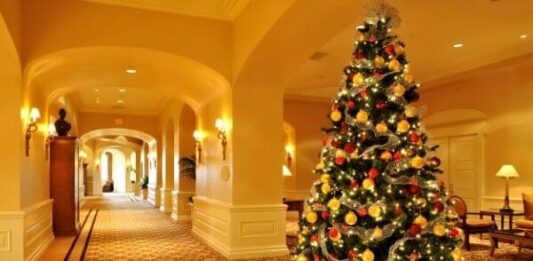 Origen del árbol de Navidad