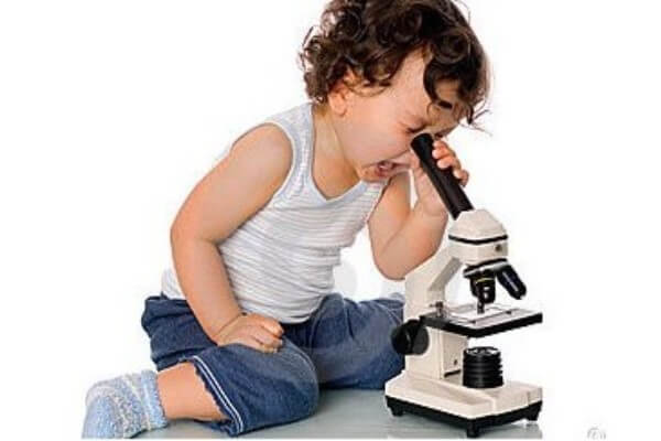 historia del microscopio