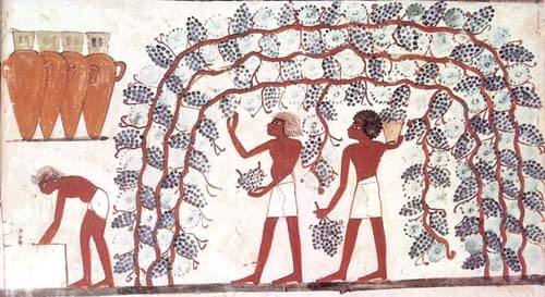 historia del vino en el antiguo egipto