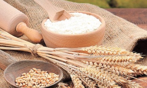 harina y trigo