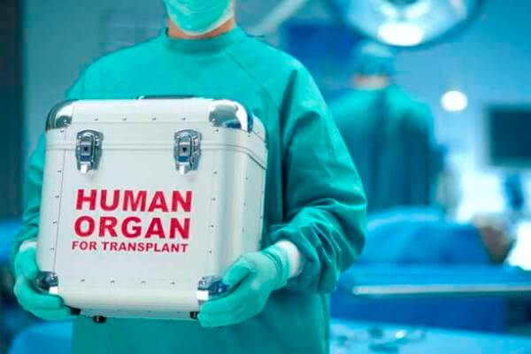 Historia de los trasplantes de órganos