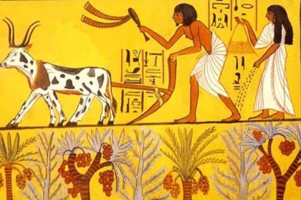 ¿Qué es el arado egipcio?