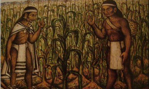 historia del maíz