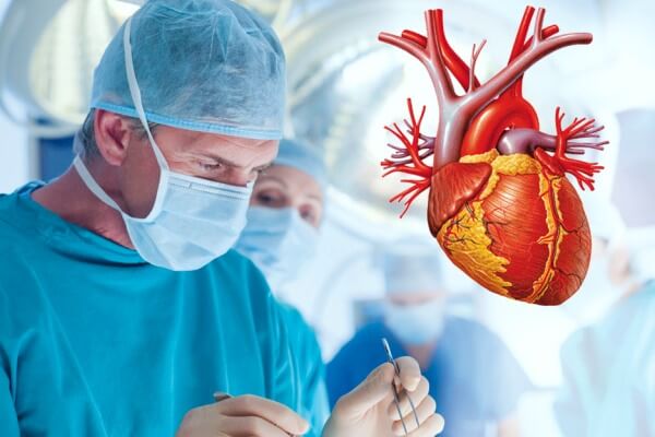 origen e historia de la cirugía cardíaca